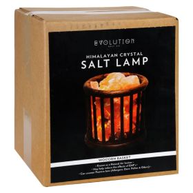Evolution Salt Crystal Salt Lamp