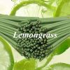 Lemongrass Incense for your home or outdoor pleasure